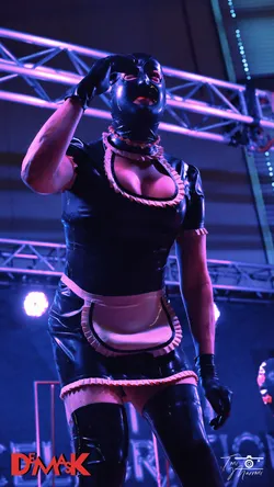 DMASK_Stage_030.jpg